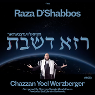 Chazzan Yoel Werzberger - Raza D'Shabbos