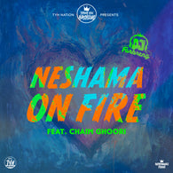 Neshama on Fire - Chaim Ghoori